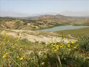 Collines du Dahra, dans la wilaya de Mostaganem.