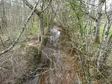 Le Dalon au pont de la route départementale 72.