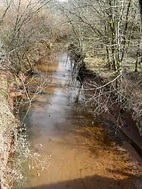 Le Dalon au lieu-dit les Montagnes.