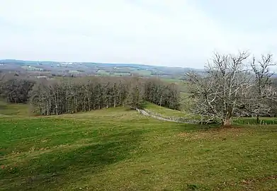 La vallée du Dalon vue depuis le bourg de Teillots.