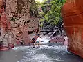 Vue en partie basse des gorges de Daluis taillées en « canyon » dans les pélites rouges du dôme de Barrot.