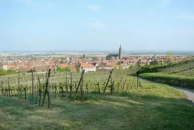 Vue sur le village de Dambach-la-Ville depuis la chapelle Saint-Sébastien.