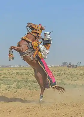 Cavalier sur un cheval paré et cabré