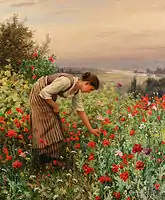 Jeune fille cueillant des coquelicots