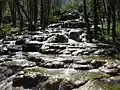 Coulée de travertin au niveau du saut du Dard.