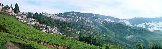 Panorama de la ville de Darjeeling.