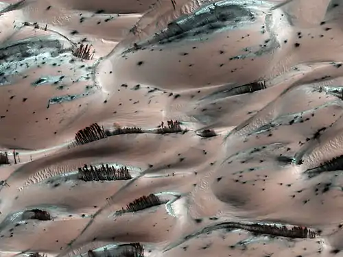 Lorsqu'elles prennent naissance sur la crête des dunes martiennes, les traînées noires donnent l'illusion, à faible résolution, de rangées d'arbres éparses au milieu de buissons. La région photographiée ici montre des traînées noires s'écoulant vers le haut de l'image, parmi des points noirs (voir paragraphe précédent) ; elle se trouve au nord d'Utopia Planitia, en lisière de la calotte polaire boréale, par 83,5° N et 118,6° E. Le sol paraît rosé et localement blanc en raison d'une couche de givre de dioxyde de carbone. La définition de cette image permet d'observer des détails de 25 cm au premier plan.