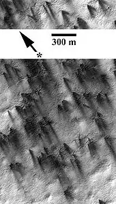 Région illustrant la corrélation entre les traînées noires, les points noirs et les structures en araignée sur une surface de givre carbonique.