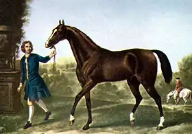 Darley Arabian, cas possible de cheval arabe Muniqi