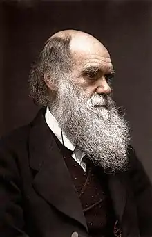 Portrait de trois-quarts face d'un homme âge et barbu.