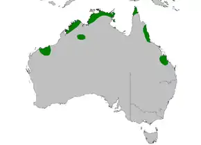 Description de l'image Dasyurus hallucatus distribution map.PNG.