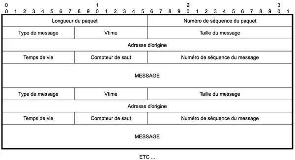 Datagramme d'un paquet OLSR