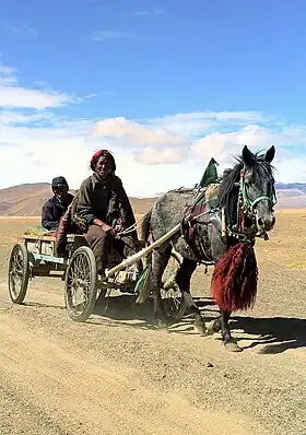 Image illustrative de l’article Cheval au Tibet
