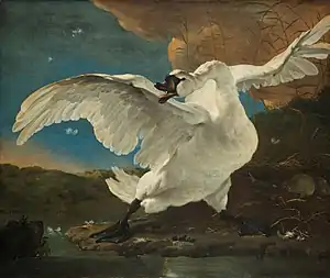 Jan Asselijn, Le Cygne menacé.