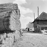 Stockage des bottes, roseau (Pays-Bas)