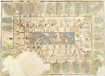 Peinture murale : Jardin de Rekhmirê. Règnes Thoutmôsis III-Amenhotep II. Frise d'arbres à myrrhe rabattue sur les quatre côtés. Plan d'eau vu de dessus et figures de profil.