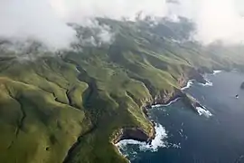 Vue aérienne du rivage verdoyant de l'île Socorro.