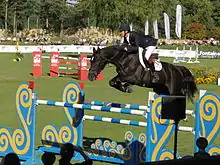 Selle français en saut d'obstacles.