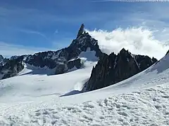 Vue de la dent du Géant depuis le col des Flambeaux.