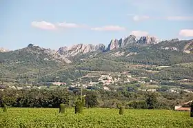 Les Dentelles surplombant le vignoble de Gigondas.