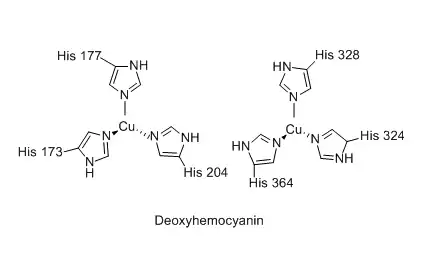 Désoxyhémocyanine.