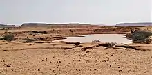 Le grand hafir (réservoir) de Musawwarat au Nord du Soudan. 800 de ces réservoirs destinés à collecter les pluies de la courte saison humide furent creusés par les Méroïtiques à partir de -590.