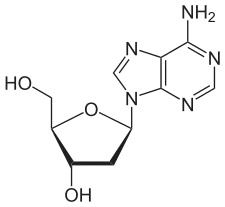 structure chimique de la désoxyadenosine