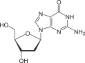 structure chimique de la désoxyguanosine