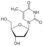 structure chimique de la thymidine