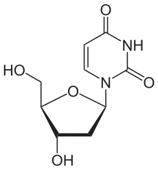 Désoxyuridine.