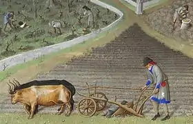 Enluminure représentant le labour d'un champ avec une charrue tirée par deux bœufs. À l'arrière-plan, des paysans coupent des ceps de vigne.