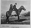 Deux anciens corses sur un cheval, 1904