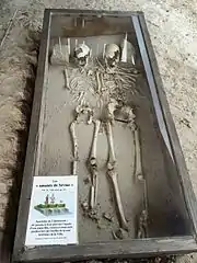 Deux squelettes d'adolescents exposés à Séviac.
