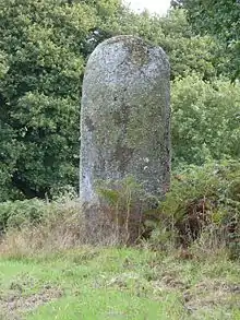 Le deuxième menhir de Kergornec.