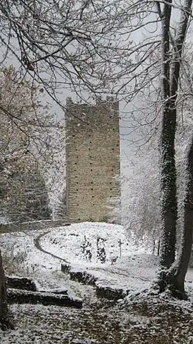 Image illustrative de l’article Château de Montmayeur