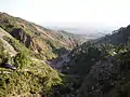 Vue sur la vallée de Dharamsala