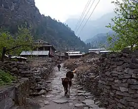 Dharapani (Manang)