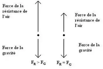 voir la légende ci-après