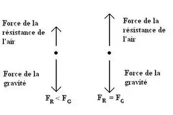 voir la légende ci-après