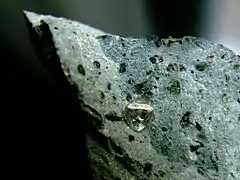 Diamant octaédrique, approx. 1,8 carat (6 mm), sur une matrice de kimberlite, Finsch Diamond Mine, Afrique du Sud.