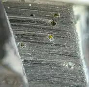 Agrandissement des diamants sertis dans une lame.