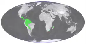 Description de l'image Didymoglossum montanum distribution.png.