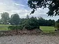 Prairie du Schlossgarten, où s’élevait autrefois le Château. Quelques vestiges, comme ce muret colonisé par la végétation , subsistent de l’ancienne forteresse