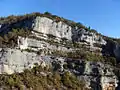 Falaises urgoniennes des gorges.