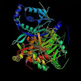 Image illustrative de l’article Dihydrolipoamide S-succinyltransférase