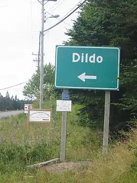 Dildo (Terre-Neuve-et-Labrador)