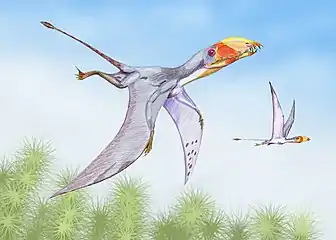Dimorphodon par Dimitri Bogdanov, 2004