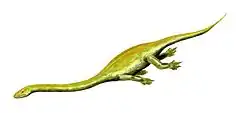 Dinocephalosaurus
