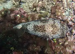 Vu du dessus, à La Réunion.