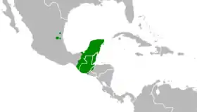 Image illustrative de l’article Langues mayas